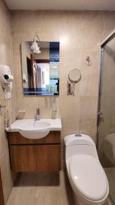 基多Hotel Colonial - Casa Francisco的一间带卫生间、水槽和镜子的浴室
