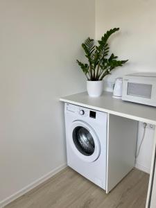 哈普萨卢Endla Hostel ja Apartamendid的一台带微波炉的洗衣机和一个台面上的植物