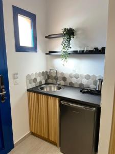 瓦西利基阿克罗伊亚利度假公寓的厨房配有水槽和台面