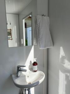 森讷堡Green Glamping的一间带水槽和镜子的浴室