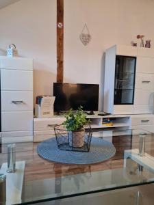 克雷费尔德Appartement Krefeld-City的客厅,玻璃桌上放着盆子