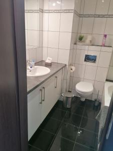克雷费尔德Appartement Krefeld-City的一间带水槽和卫生间的浴室