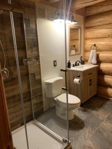 Pleasant ValleyThe Chena Valley Cabin, perfect for aurora viewing的浴室配有卫生间、淋浴和盥洗盆。