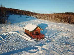 Pleasant ValleyThe Chena Valley Cabin, perfect for aurora viewing的田野雪中的小小屋