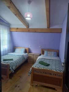 AdishiSesili Guesthouse的配有紫色墙壁和木地板的客房内的两张床