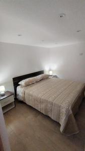 巴勒莫Casa Vacanze da Peppe的一间卧室设有一张大床和两个床头柜