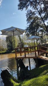 蒂格雷La Dolce Vita的水中带雨伞的木制野餐桌