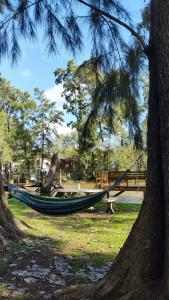 蒂格雷La Dolce Vita的两棵树之间的公园里的一个吊床