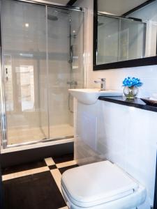 布罗德斯泰The Sea Lounge Accomodation的带淋浴、卫生间和盥洗盆的浴室