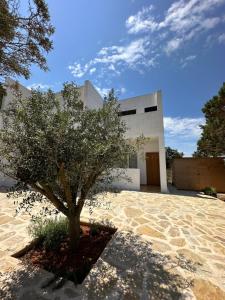 埃斯普霍斯AT Espalmador Formentera rustick的白色建筑前的树