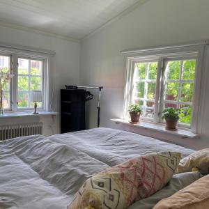 法尔肯贝里Charmigt boende med perfekt läge i Gamla Stan的一间卧室设有一张大床和两个窗户