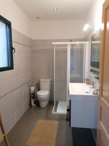 波尔蒂乔CHAMBRE EVASION VUE EXCEPTIONNELLE PORTICCIO的浴室配有卫生间、盥洗盆和淋浴。