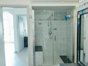 迪亚诺卡斯泰洛Casa Relax Diano Castello的浴室里设有玻璃门淋浴