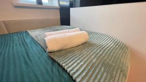 阿斯隆#2 TGHA Luxury Studio Apartment in Athlone的绿色的床,上面有两条毛巾
