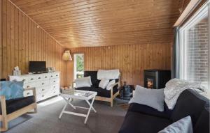 伊斯科博约格Awesome Home In Eskebjerg With Wifi的带沙发和壁炉的客厅