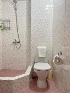 苏呼米Гостевой Дом Феникс的一间带卫生间和浴缸的浴室