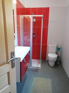 波尔蒂乔CHAMBRE AVENTURE VUE EXCEPTIONNELLE PORTICCIO的带淋浴和卫生间的浴室以及红色墙壁。