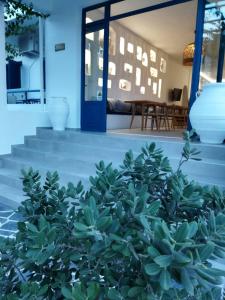 迈加洛丘里弗斯霍斯酒店的一座有蓝色门和植物的房子