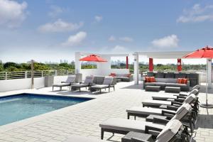迈阿密科勒尔盖布尔斯福朋喜来登酒店的一个带躺椅的庭院和一个游泳池