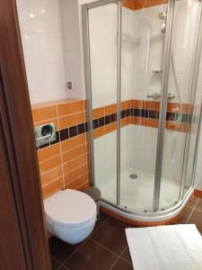 拉塔Apartament w Juracie的一间带卫生间和淋浴的浴室