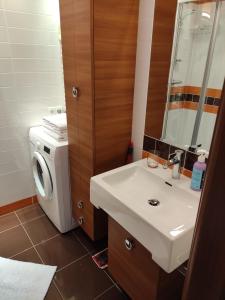 拉塔Apartament w Juracie的一间带水槽和洗衣机的浴室