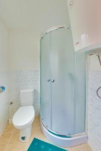 JazoAutokemping Jasov的一间带卫生间和玻璃淋浴间的浴室