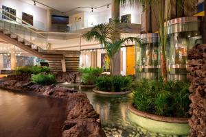 卡塔尼亚卡塔尼亚福朋喜来登酒店的大堂里有一个种有植物的池塘