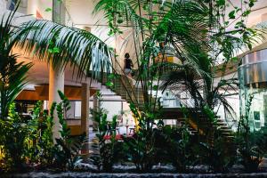 卡塔尼亚卡塔尼亚福朋喜来登酒店的植物建筑的楼梯上的人