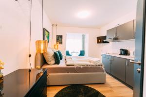 科布伦茨Premium Apartments Koblenz的一间小公寓,厨房内配有沙发