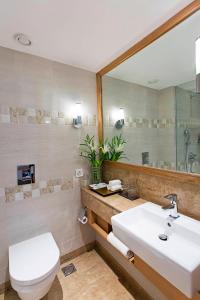 勒克瑙勒克瑙费尔菲尔德客栈酒店的一间带卫生间、水槽和镜子的浴室