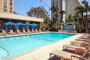 洛杉矶洛杉矶国际机场福朋喜来登酒店的一个带椅子和蓝伞的大型游泳池