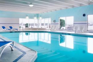 苏圣玛丽苏圣玛丽海滨三角洲万豪酒店的一个带蓝色墙壁和窗户的游泳池