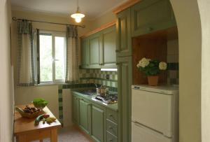 Appartamenti Tallinucci的厨房或小厨房
