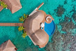 Fesdu Island马尔代夫W酒店的享有游泳池顶部的顶部景致