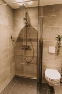 比伦Appartement Wadpier的带淋浴和卫生间的浴室