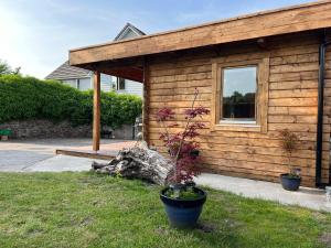 比迪福德Log Cabin的一个小木舱,设有窗户和植物