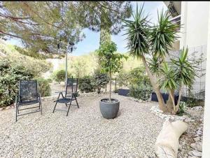 卡尔维Casa Victor - Jardin privatif, proche plage et centre的一个带两把椅子和棕榈树的庭院