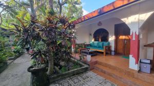 甘地达萨Catra homestay beach apartments的蓝色沙发和一些植物的房子