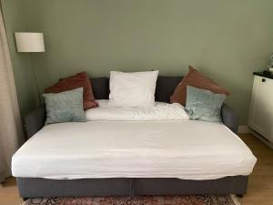 阿纳姆Appartement Osso Arnhem的客房内的沙发上配有枕头