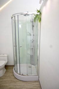 瓜塔佩Casa Flotante La Trinidad的一间带卫生间的浴室内的玻璃淋浴间