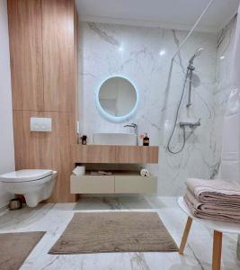 考纳斯AB apartment的一间带水槽、卫生间和镜子的浴室