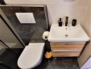 里耶卡PALMA TRSAT with free private parking的浴室配有白色水槽和卫生间。