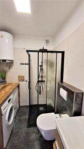 里耶卡PALMA TRSAT with free private parking的带淋浴、卫生间和盥洗盆的浴室