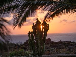 Las PuntasFinca Afortunada的棕榈树和仙人掌,背面是日落