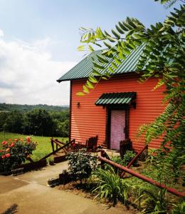 Velika RemetaSunny Side Fruska Gora的一座带绿色屋顶的红色小房子
