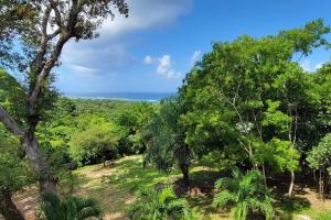 罗阿坦Casa Sueño Caribeño的森林与海洋相映成趣