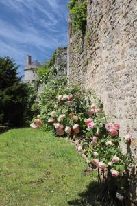 阿朗松Les Deux Marguerite的粉红色玫瑰长在墙上的石墙