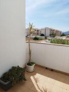Barrio-MarVilla de lujo frente al mar的庭院上一堵白色墙壁,上面有盆栽植物