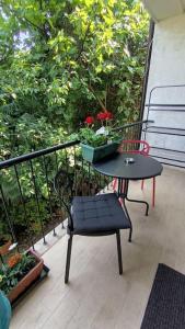 洛夫兰Apartman Sonja的鲜花阳台的桌子和椅子