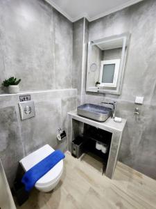 雅典Kipseli's Home的一间带卫生间、水槽和镜子的浴室